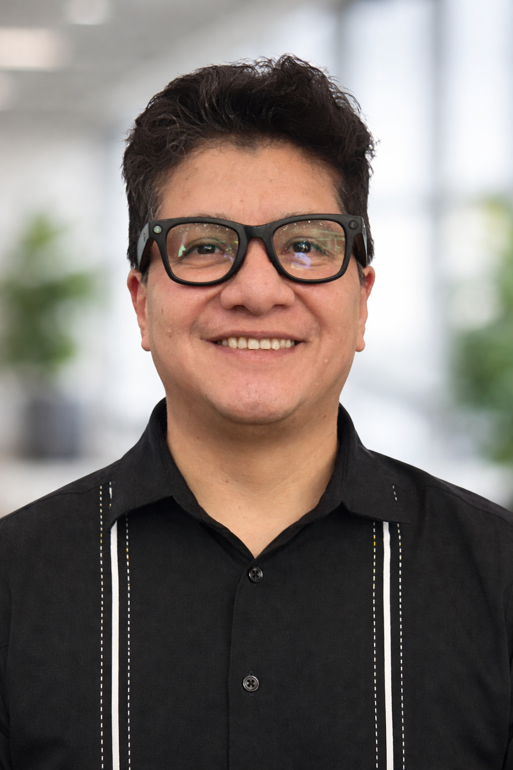 Luis E Silva - Principal Consultant